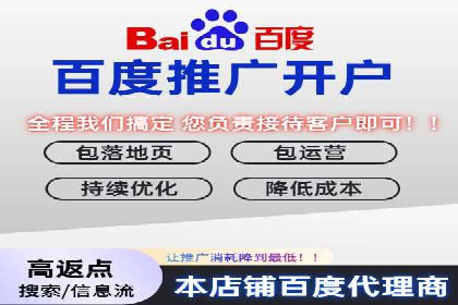 百度竞价赚钱技巧：案例分析